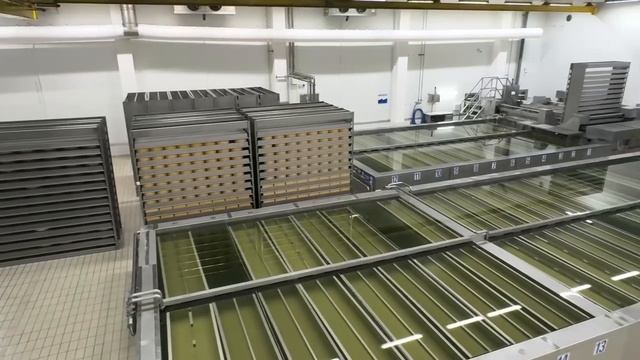 Экспорт молока смотреть онлайн