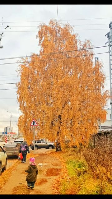 видео из фото и не только