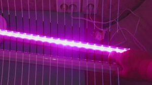 Нюансы подключения и РЕАЛЬНЫЙ СВЕТ: обзор фитолампы СПБ-Т 5 ФИТО для самых дотошных