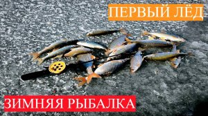 ПЕРВЫЙ ЛЁД! ЛОВЛЯ ПЛОТВЫЙ НА МОРМЫШКУ. ЖОР ОКУНЯ НА МОТЫЛЬ. ЗИМНЯЯ РЫБАЛКА.