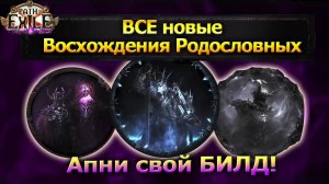 PoE🔥Новые ВОСХОЖДЕНИЯ РОДОСЛОВНЫХ🔥Все Ассенденси🔥PoE #ХранителиПламени