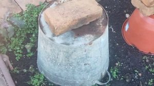 Осень.🍂🍁 Приехали на дачу. Небольшой обзор.