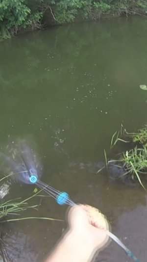 Закинул кастинговую сеть на стаю плотвы!