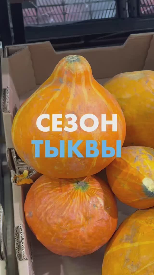 Рассказываем о тыкве 🎃 смотреть онлайн