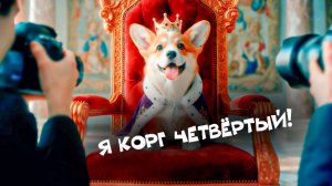 Корги Коржик - Я КОРГ ЧЕТВЁРТЫЙ! (Official music video) Первый клип мини Коржика!