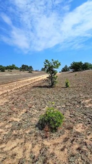 Заброшенное село в Чернобыле часть 12