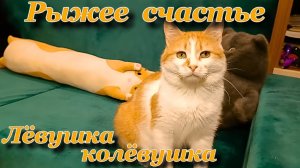Рыжее счастье Лëвушка колëвушка.