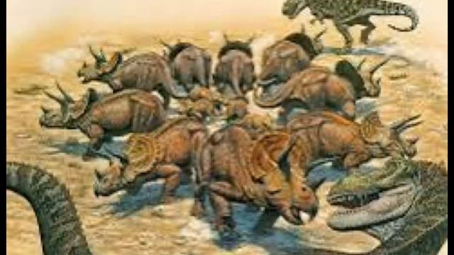 Правда ли что трицератопсы-слоны мелового периода?