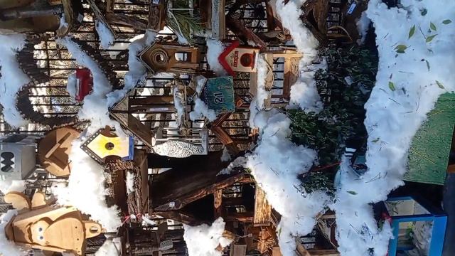 Кормушки в Новосибирском зоопарке