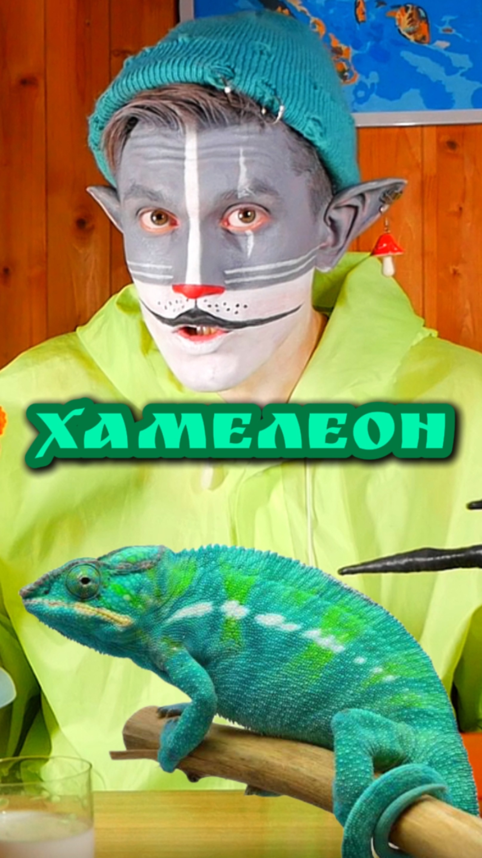 Кот Учёный и Хамелеон 🦎 смотреть онлайн