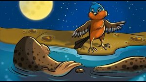 Встреча с тюленем