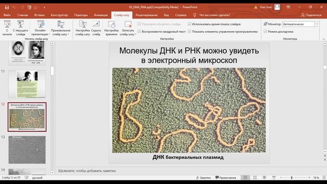 нуклеиновые кислоты 1 смотреть онлайн