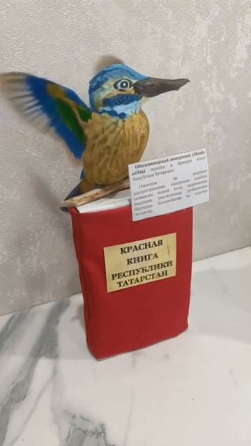 обыкновенный зимородок.mp4