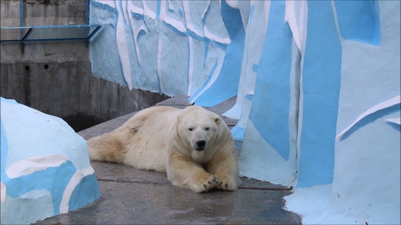 У Кая сонный день 27.10.2025 смотреть онлайн