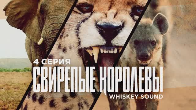 Свирепые королевы (4 серия) | Fierce Queens | Дубляж Whiskey Sound