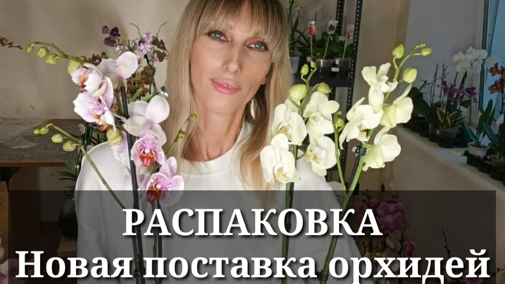 РАСПАКОВКА! НОВАЯ ПОСТАВКА ОРХИДЕЙ! смотреть онлайн