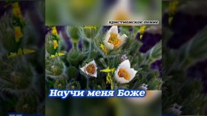 Научи меня Боже ♥️🙏 христианская песня