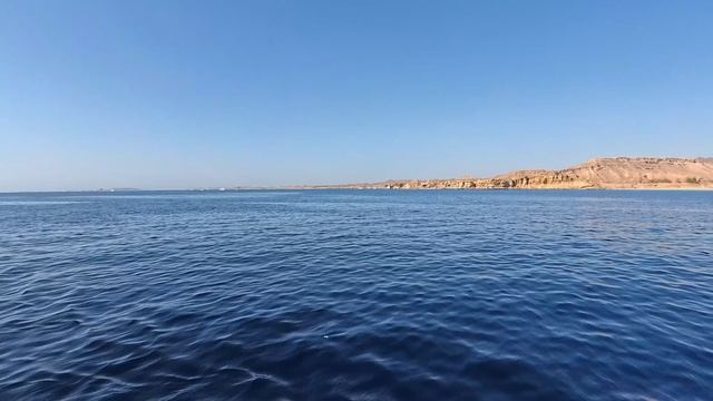 Novotel Beach Sharm El Sheikh 5* октябрь 2025 год