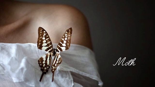Новинка!! Мотылёк смотреть онлайн