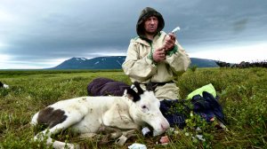 Жизнь коми оленеводов: секреты маленького чума | Изьватас олэм
