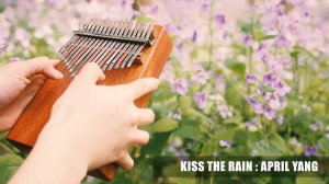 «Kiss the Rain». Кавер-версия для 17-нотной калимбы