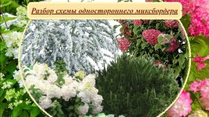 Вариативность готовой схемы хвойно-лиственного миксбордера.