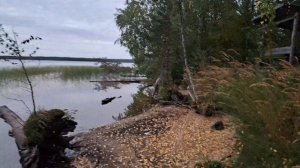 Сегозеро и не только.
Рыбалка сентябрь 2025
часть1