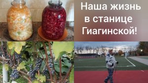 Наша жизнь в Адыгее/Посолила капусту/Сад еще зеленый/Оздоровительная ходьба на стадионе/