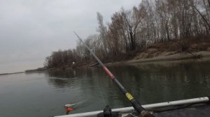 ОСЕННЯЯ ПОКЛЁВКА СТАНДАРТНОЙ ЩУКИ