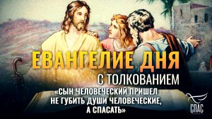 «Сын Человеческий пришел не губить души человеческие, а спасать» / Евангелие дня