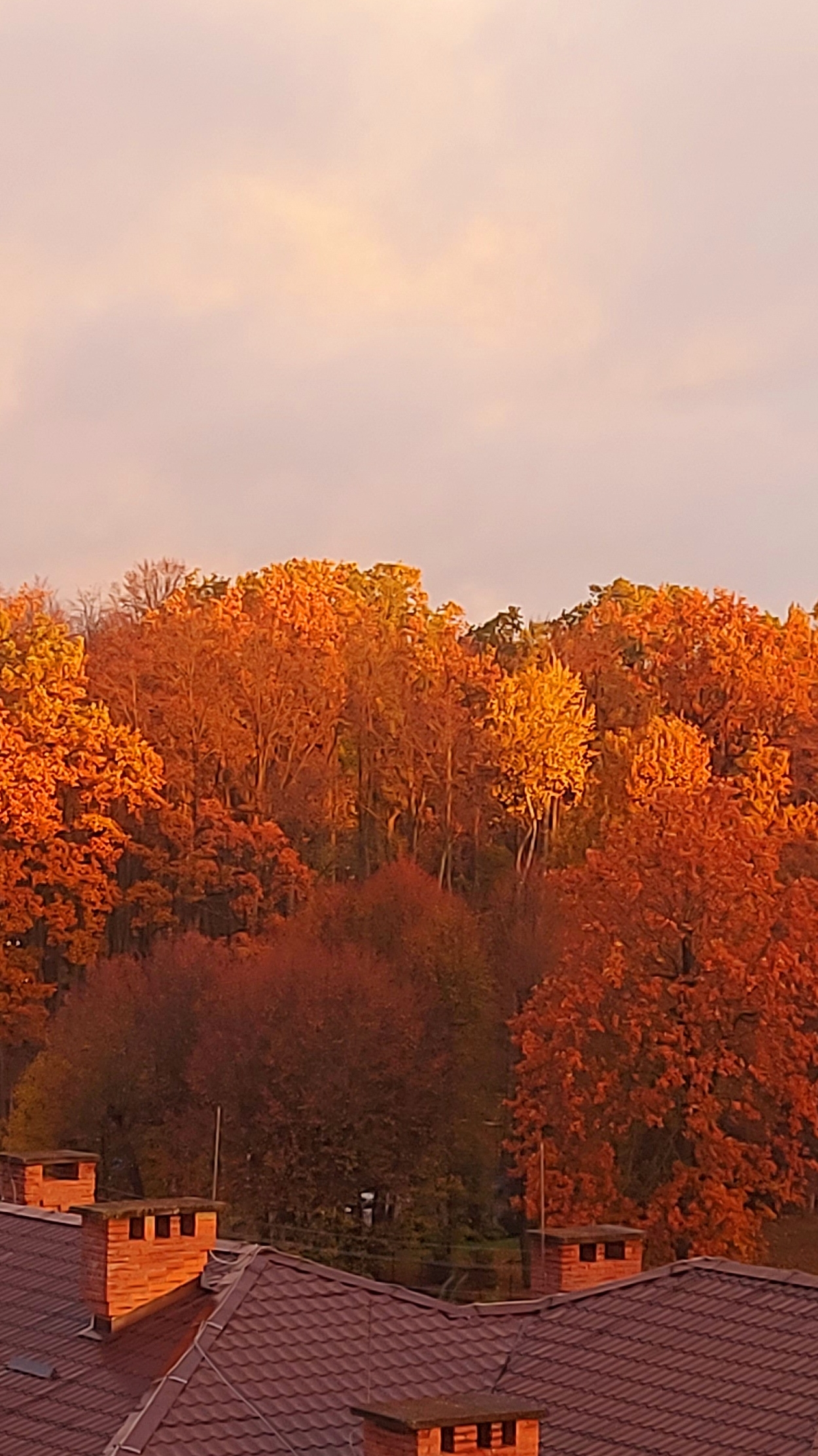 Доброе утро октября🍂🍁🌇Хорошего всем дня🤗 смотреть онлайн