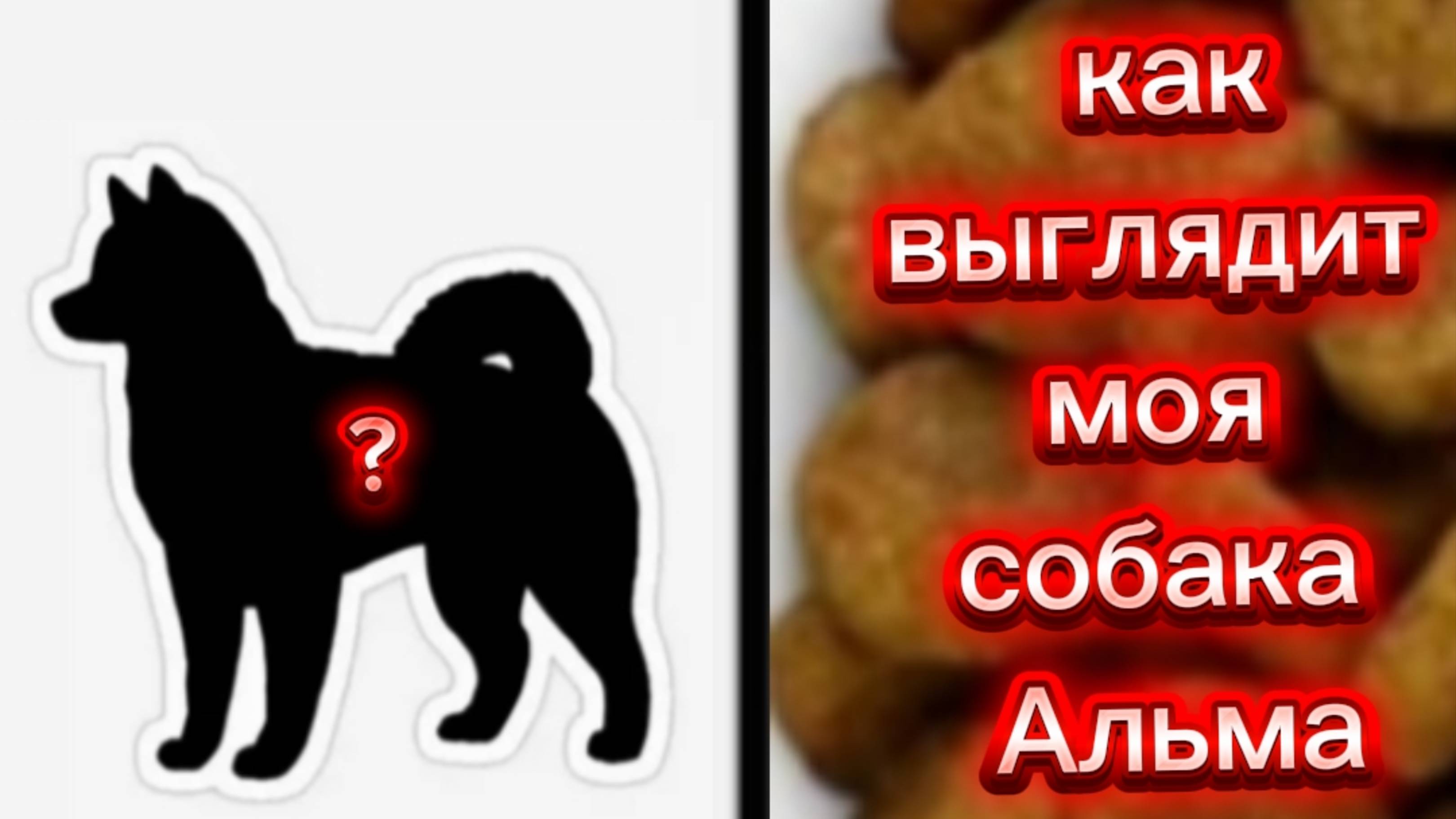 обзо на альму