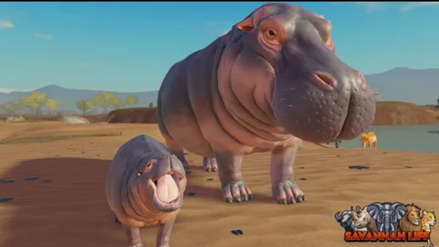 ИГРАЕМ 🎮 ЗА БЕГЕМОТА 🦛 В САВАННЕ ЛАЙФ РОБЛОКС смотреть онлайн