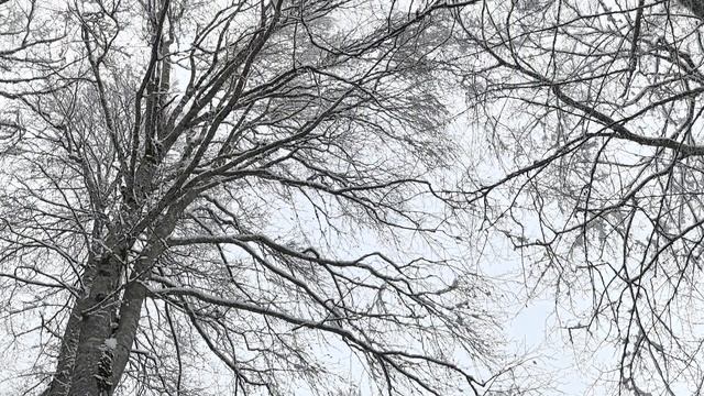 опасное место тут смотреть онлайн