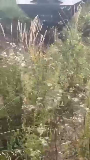 Ковш трапециевидный Exten Tbone 2000x400 на экскаваторе смотреть онлайн