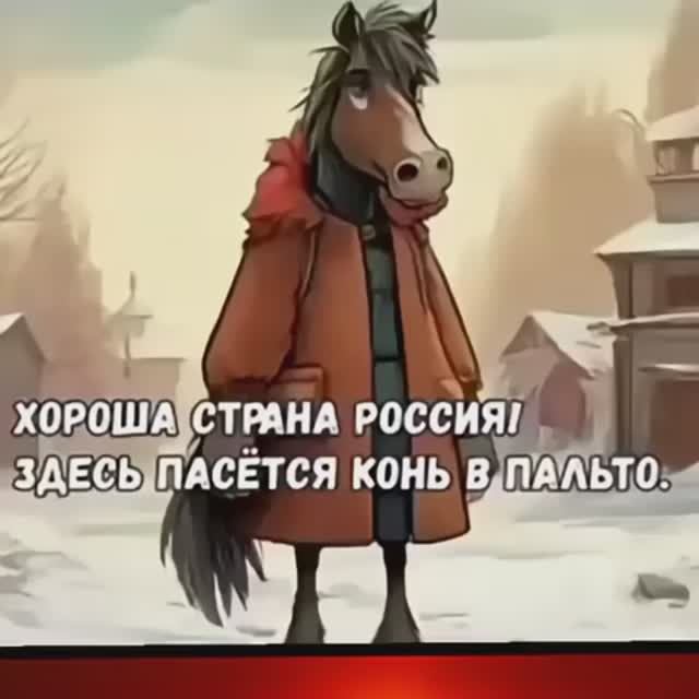 конь в пальто смотреть онлайн