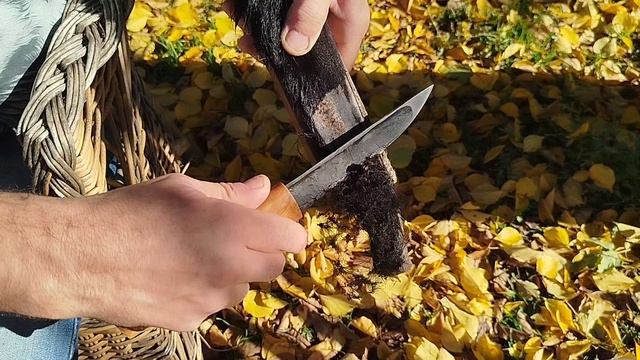 Обзор колымского ножа, сервис и уход смотреть онлайн