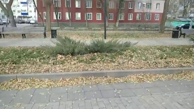 Видео снято несколько лет назад. Но это была осень 🍁 хорошая песня. Поразила меня. Смысл жизни смотреть онлайн
