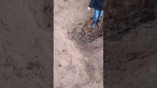 копаем землянку день 4 смотреть онлайн