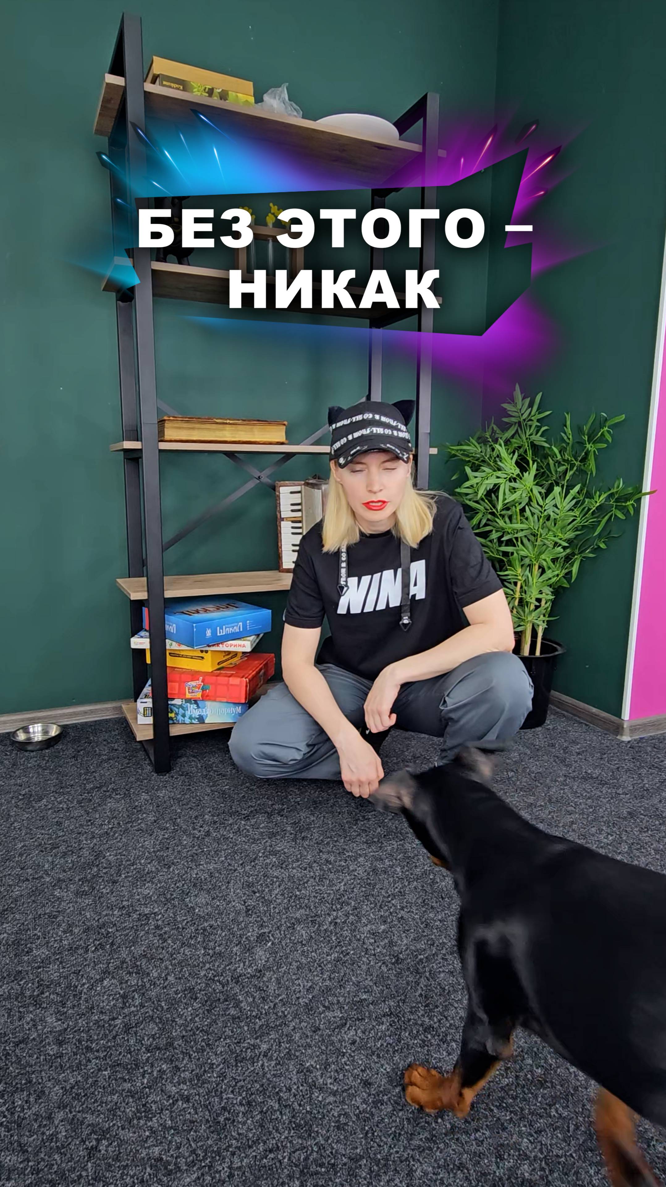 Они уже спешат к тебе #животные смотреть онлайн