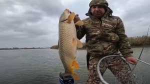 Рыбалка. О такой мечтает каждый рыбак.  Нашли логово сазана... Астраханская область. Лиманский р-он.