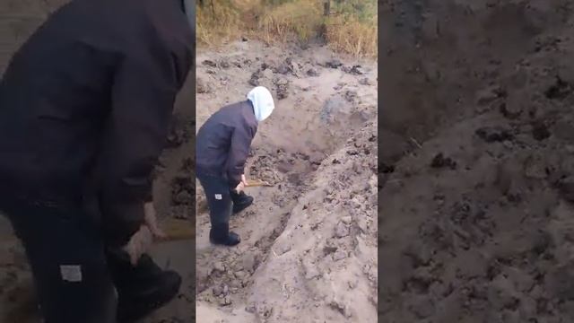 копаем землянку 4 день смотреть онлайн
