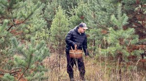 ГРИБЫ ПРОДОЛЖАЮТСЯ! Корзина грибов 30 октября! Грибы 2025