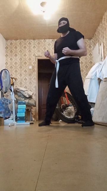 Крайне Северный Ниндзя: 30 Октябрьское Чудо 2 (30.10.2025) Very Nordic Ninja: 26 October Wonder 2