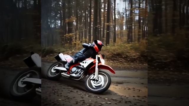 мото ралли смотреть онлайн