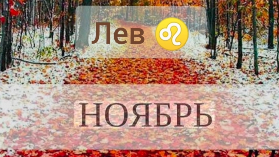 Лев ♌, ноябрь 2025