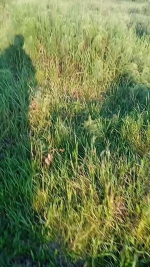 Металлокоп. Хороший металл