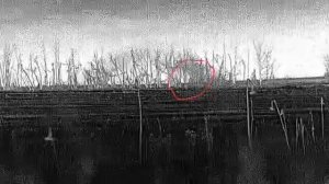 Поражение цели