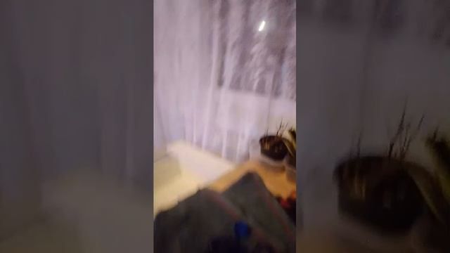 стрим смотреть онлайн