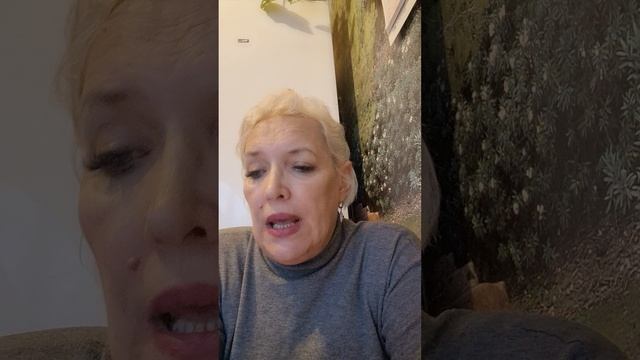 Как работают собачьи приюты? Письмо подписчика смотреть онлайн